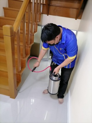 รับกำจัดปลวกภายในบ้าน - บริษัทกำจัดปลวก สมุทรสาคร - วาย แอนด์ ที บัก เมเนจเม้นท์