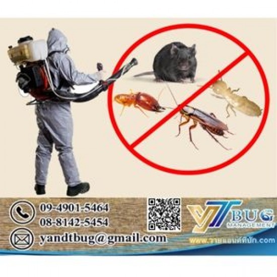 รับกำจัดหนู แมลง - บริษัทกำจัดปลวก สมุทรสาคร - วาย แอนด์ ที บัก เมเนจเม้นท์