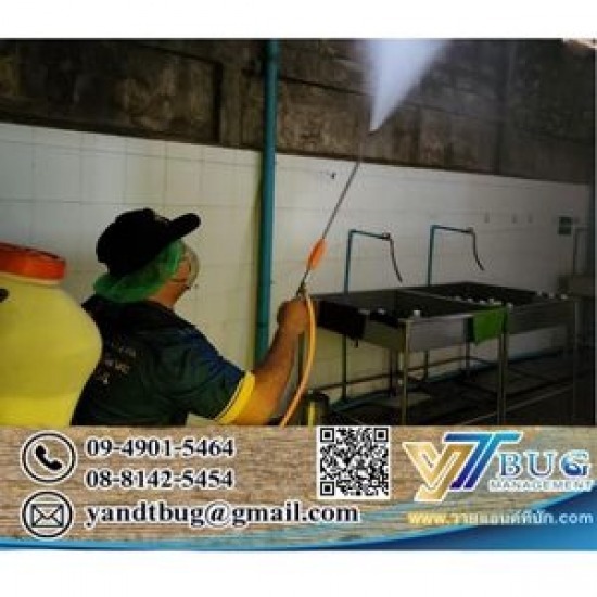 รับฉีดปลวก ราคาถูก