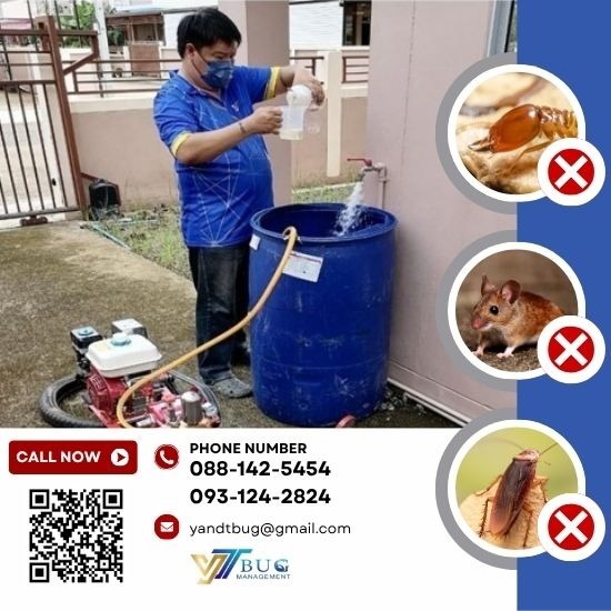 กำจัดปลวกระบบเคมี ราคาถูก