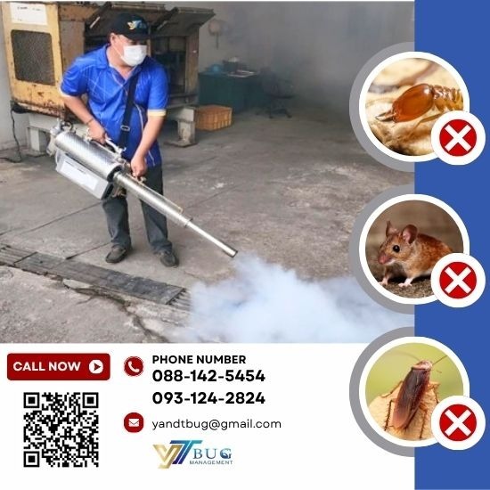 รับกำจัดปลวกและแมลง สมุทรสาคร