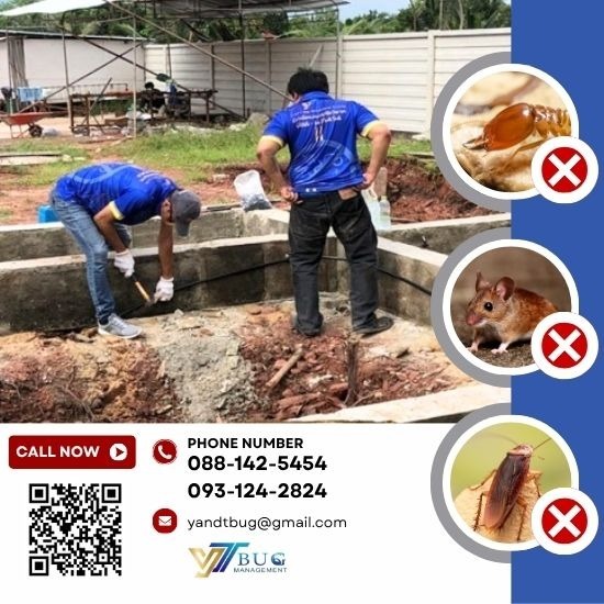 บริษัทกำจัดปลวก สมุทรสาคร - วาย แอนด์ ที บัก เมเนจเม้นท์ - รับวางท่อกำจัดปลวก