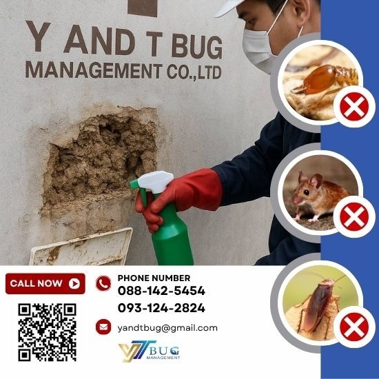 รับกำจัดหนู แมลง สมุทรสาคร